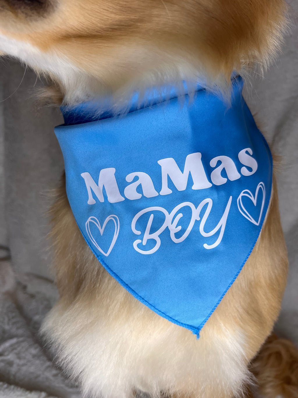 Mamas Boy Bandana