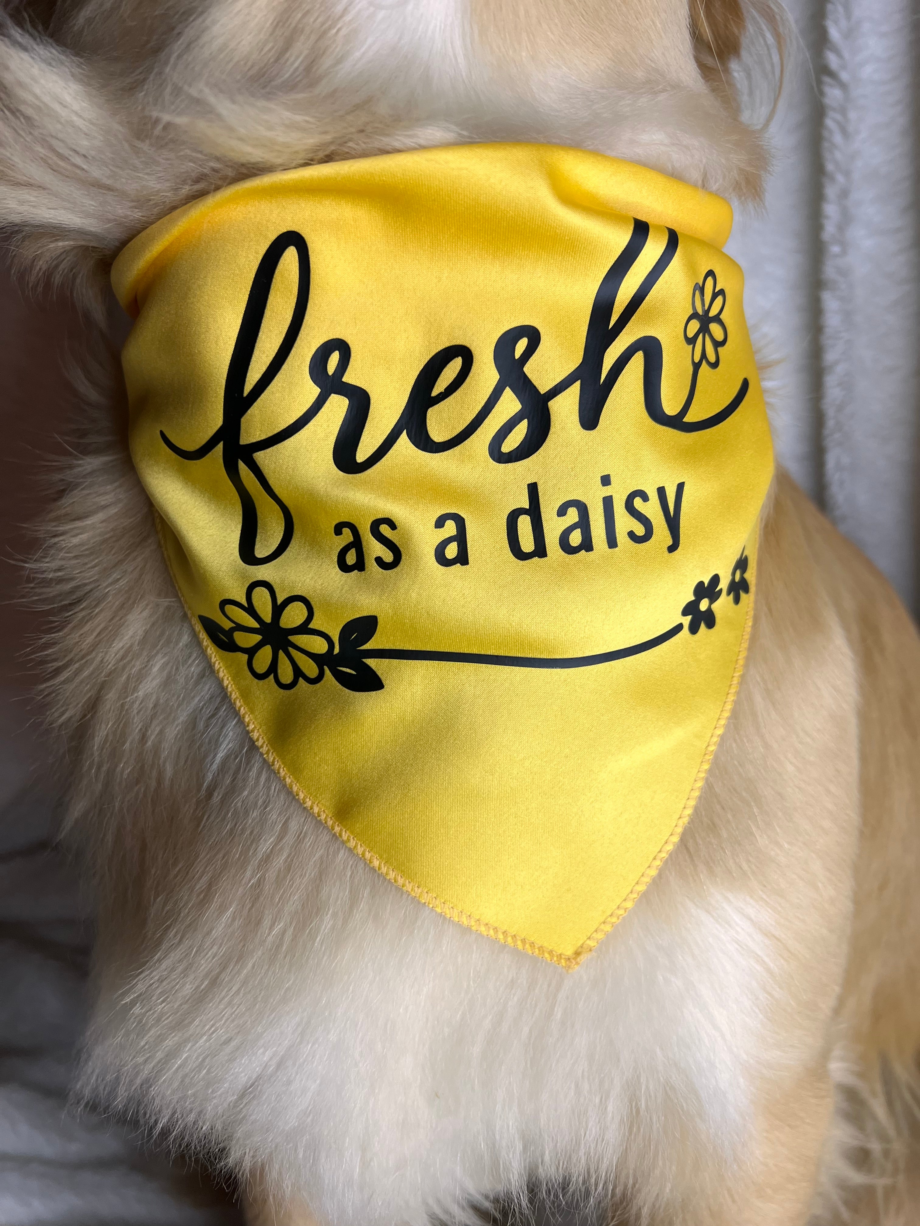 Fresh as A Daisy Bandana