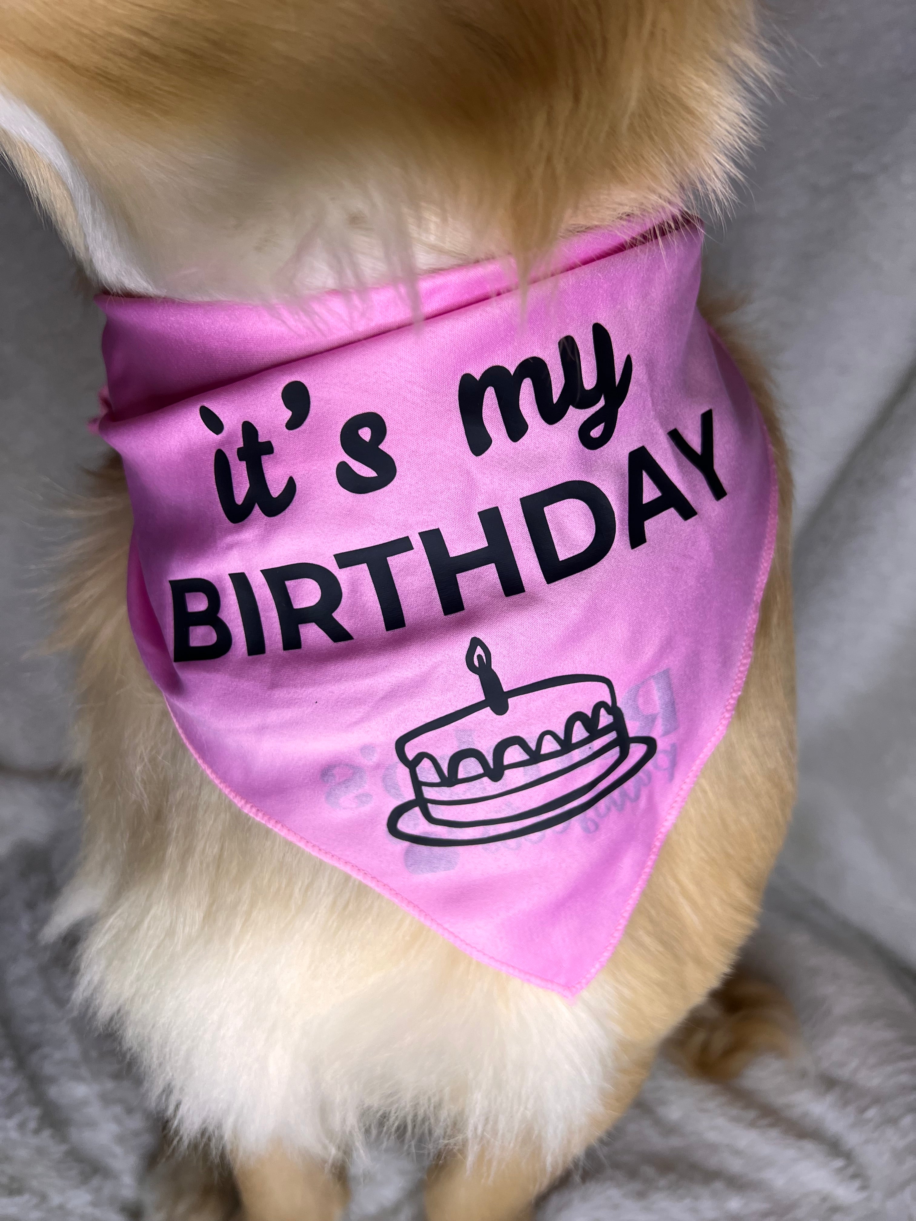 It’s My Birthday Bandana