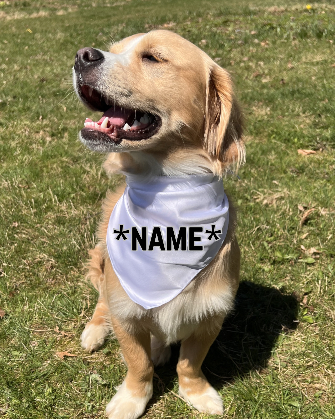 Custom Name Bandana