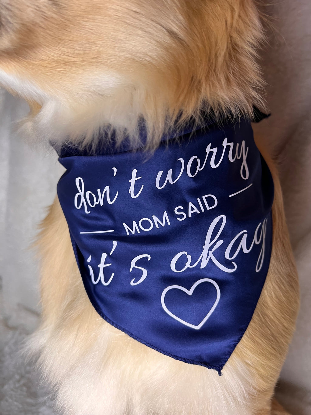 Mom Said It’s Okay Bandana