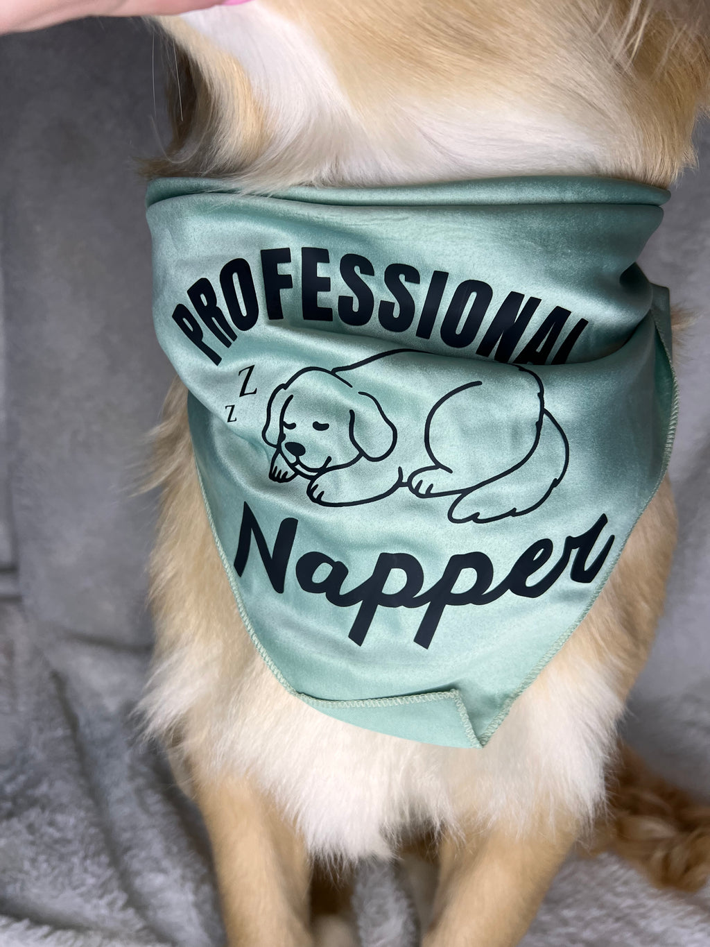 Professional Napper