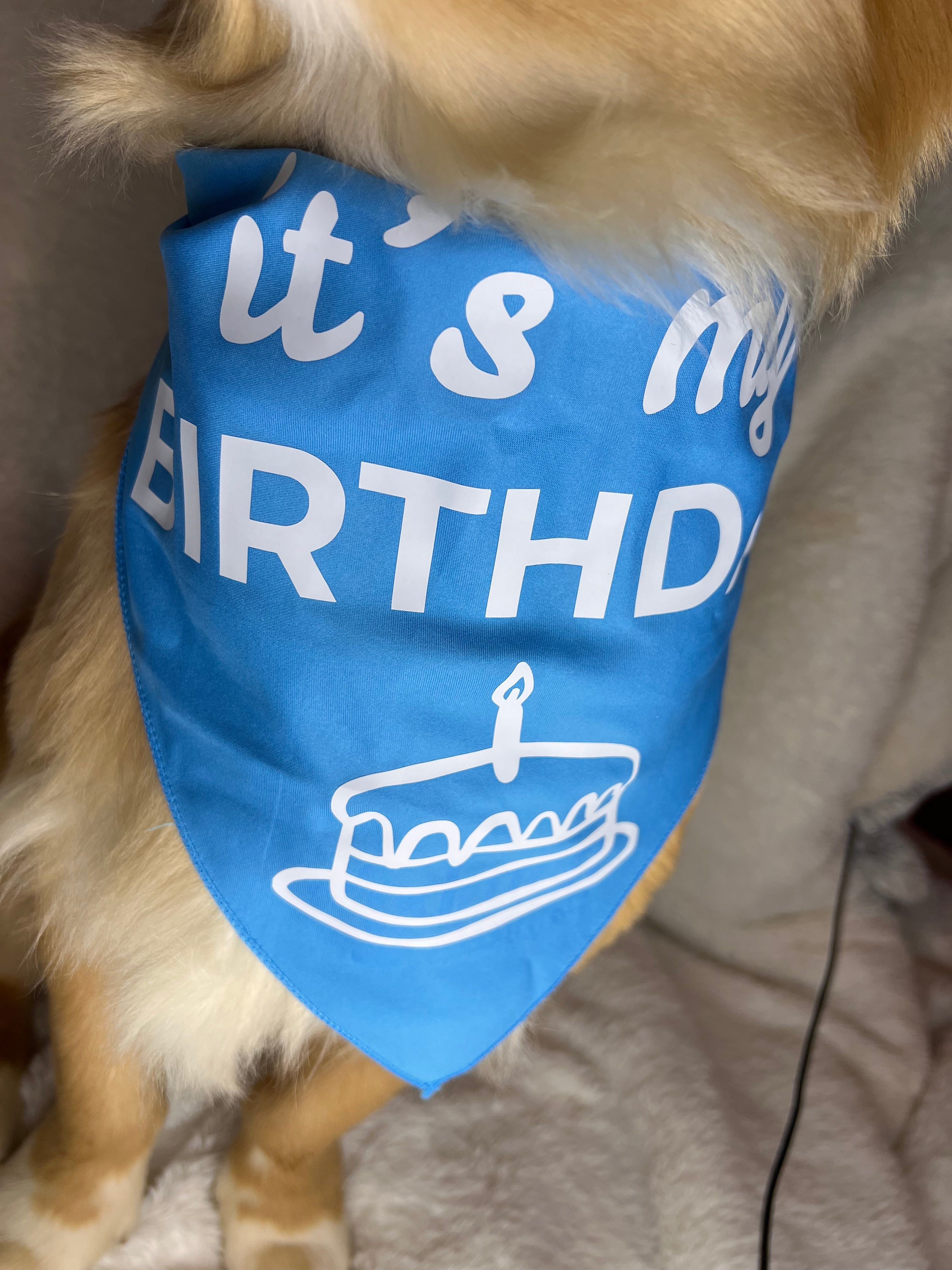 It’s My Birthday Bandana