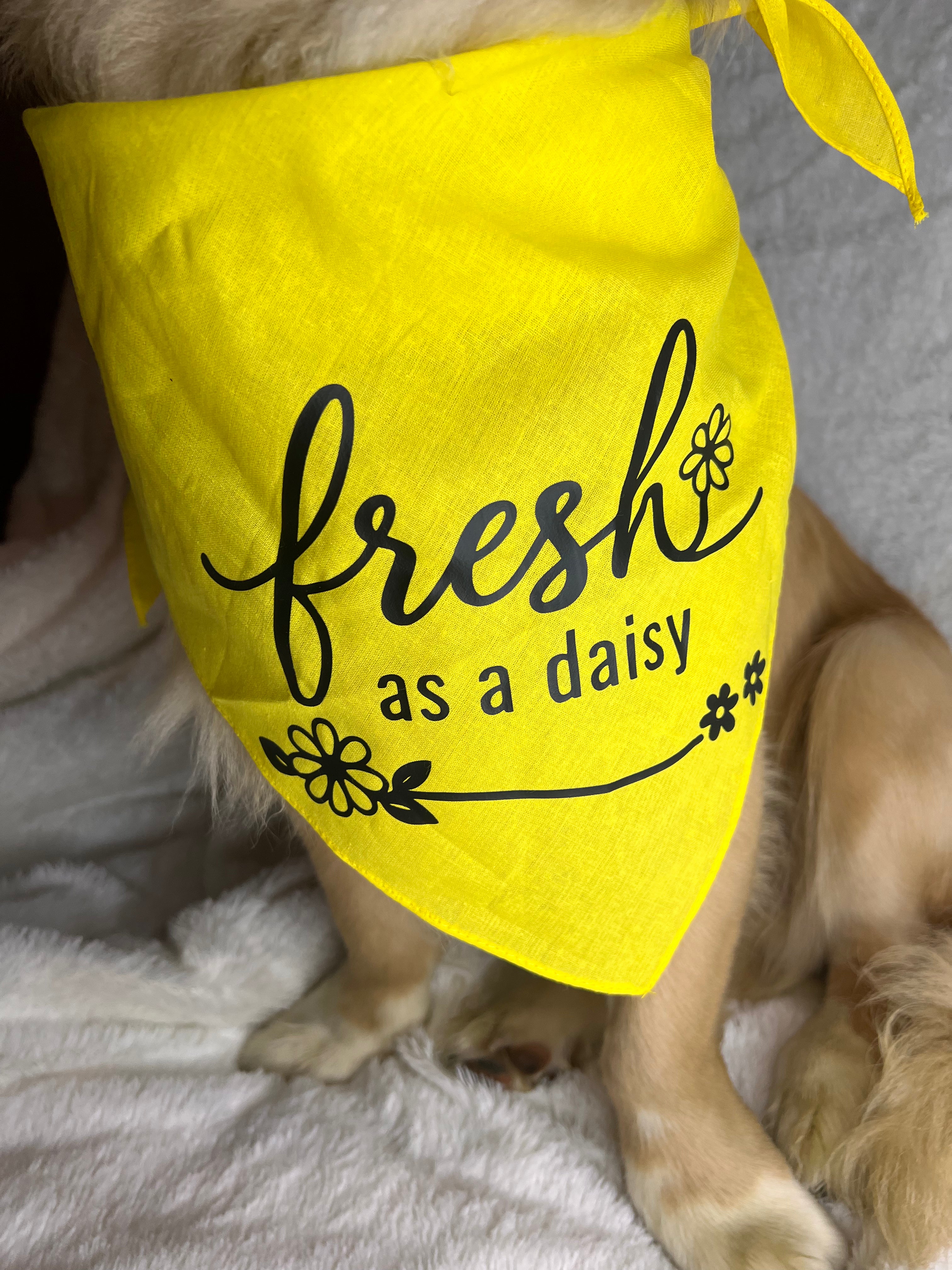 XL Fresh as a daisy Bandana - Yellow