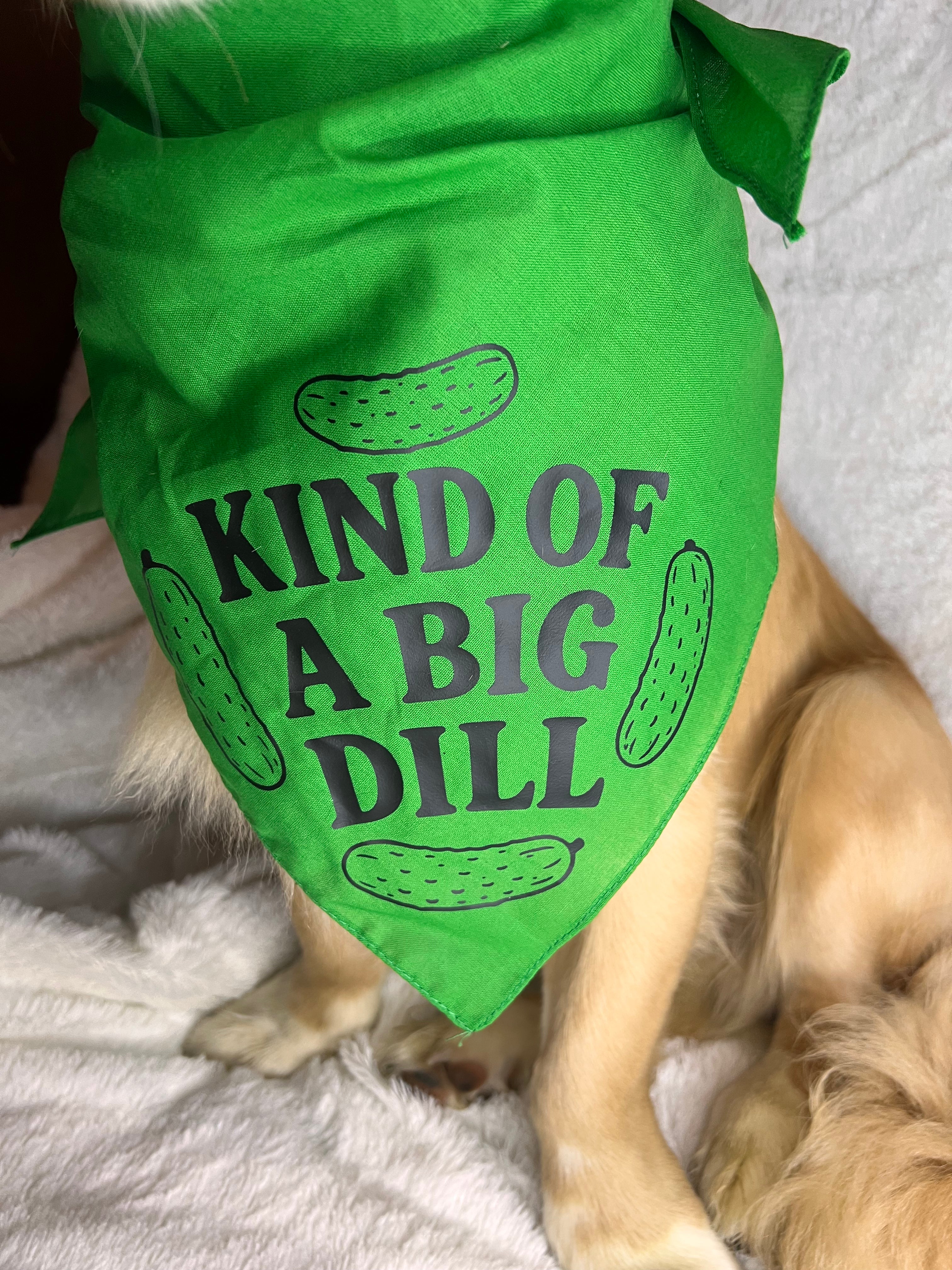 XL Kind of A Big Dill Bandana - Green