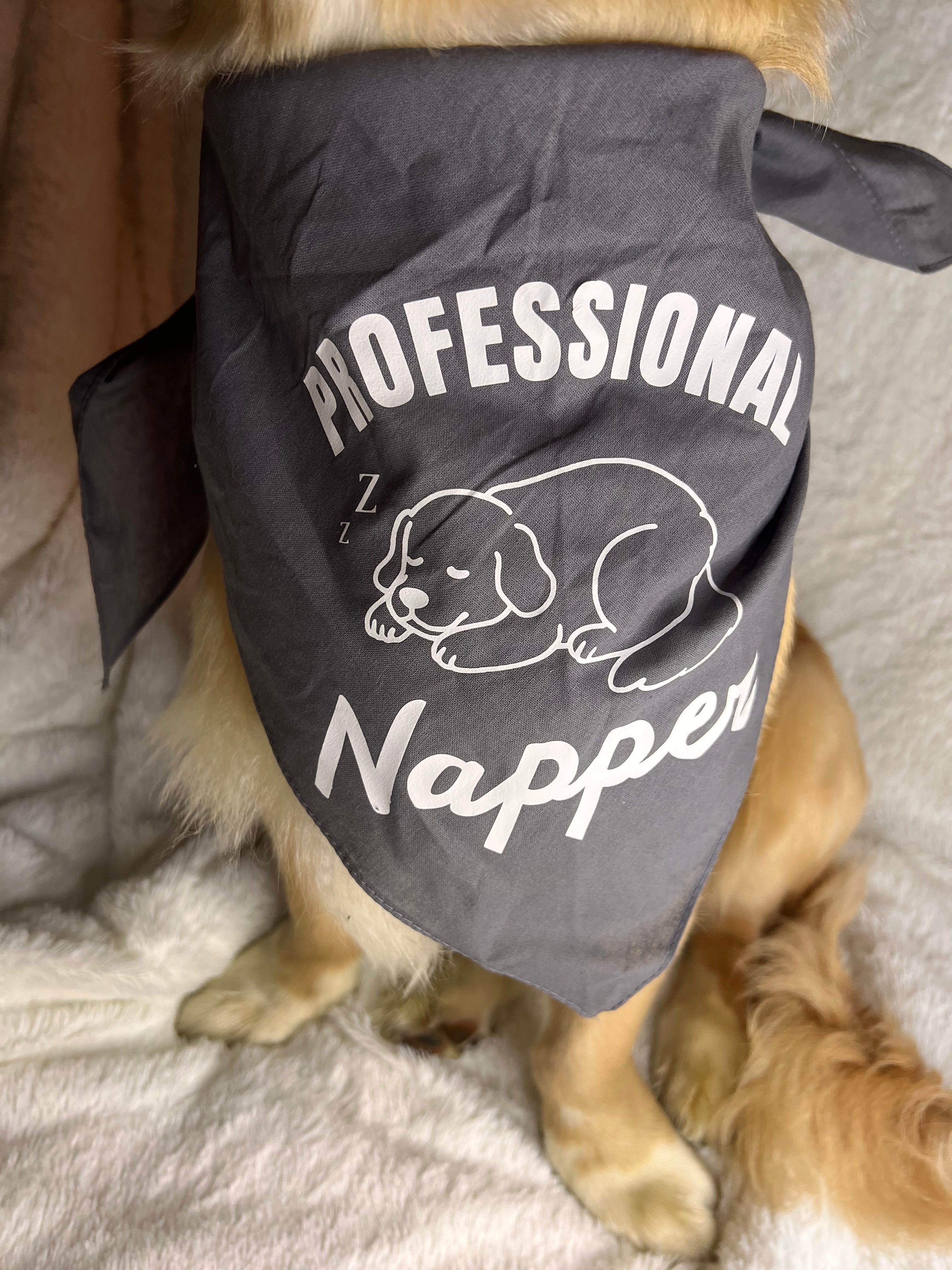 XL Professional Napper - Gray