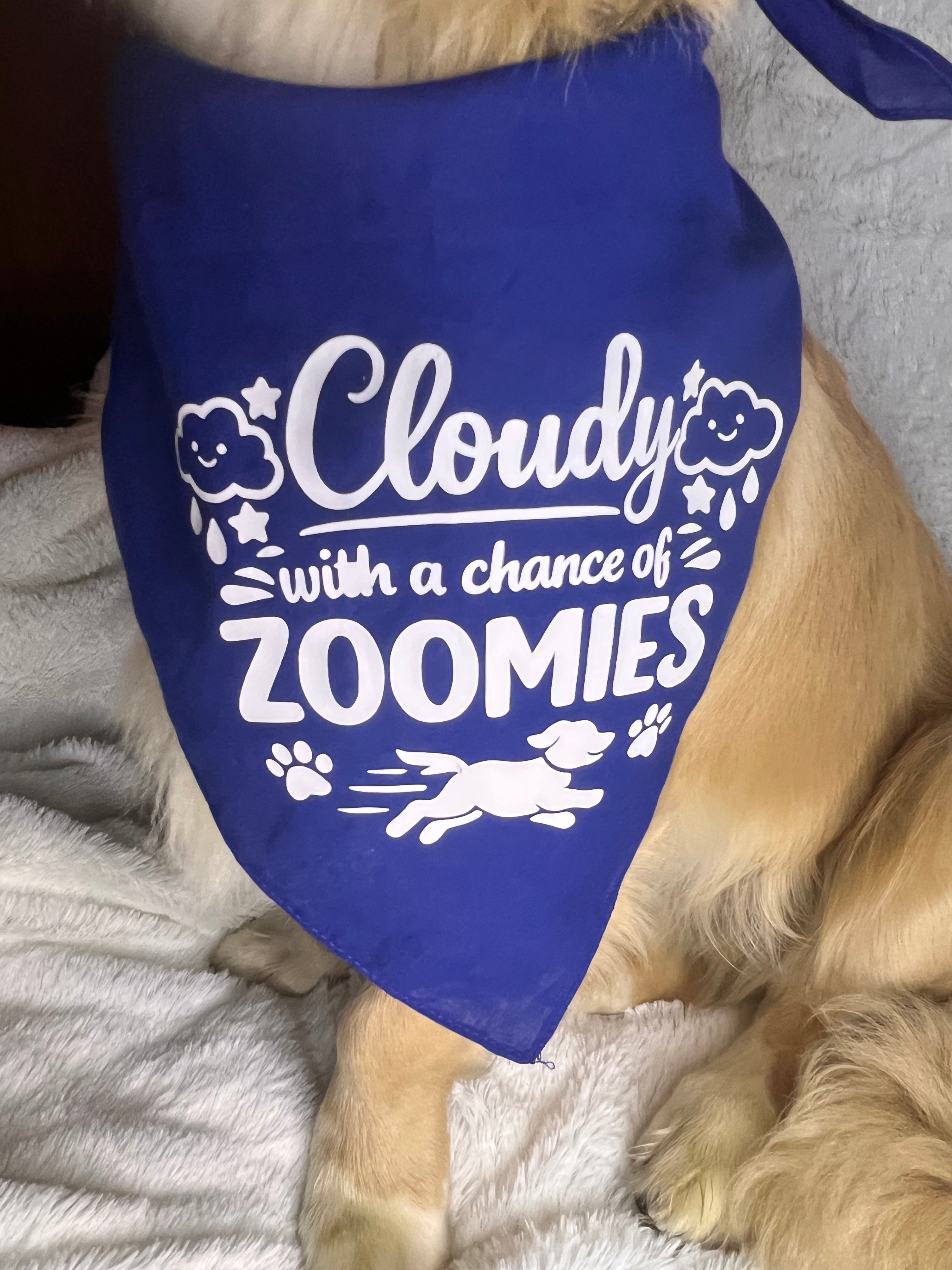 XL Cloudy With A Chance Of Zoomies Bandana - Blue
